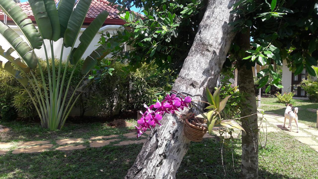 Lanka Beach Grand Villa Rekawa Eksteriør bilde